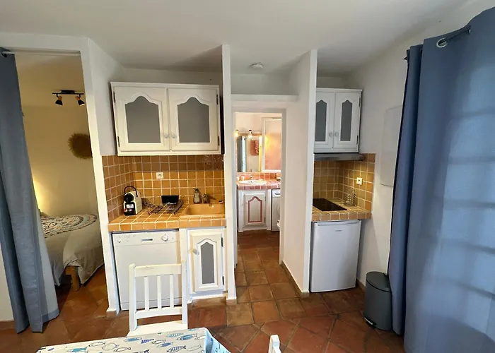 Superbe Emplacement , Terrasse Et Parking! Апартаменти Сен-Тропе